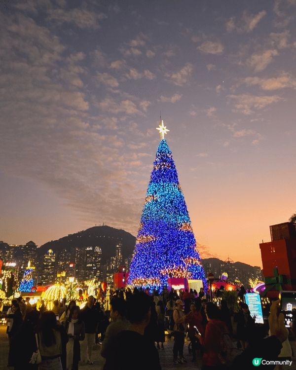 西九聖誕樹亮燈 高聳入雲顯繽紛