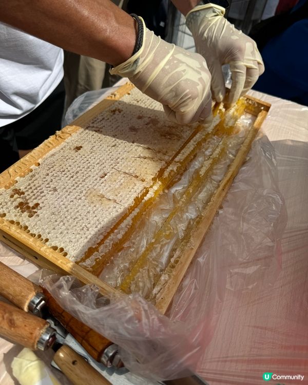 本地蜂蜜 香港製造