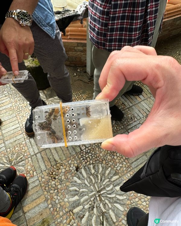 本地蜂蜜 香港製造