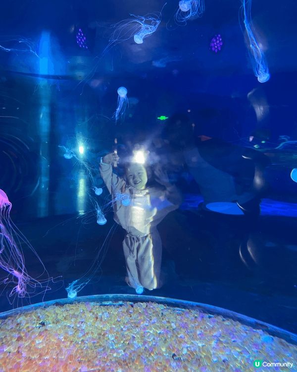 深圳歡樂海岸水族館是一個充滿趣味的地方，適合家庭和朋友一起參...