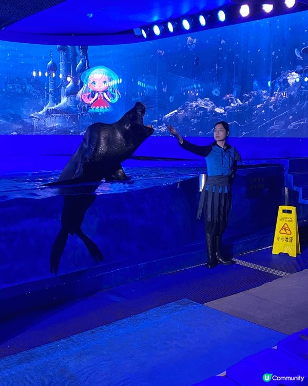 深圳歡樂海岸水族館是一個充滿趣味的地方，適合家庭和朋友一起參...