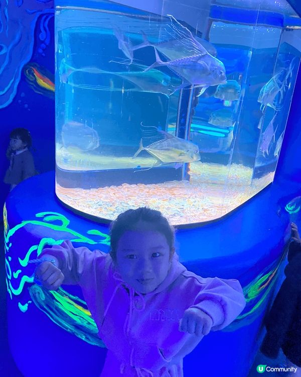 深圳歡樂海岸水族館是一個充滿趣味的地方，適合家庭和朋友一起參...