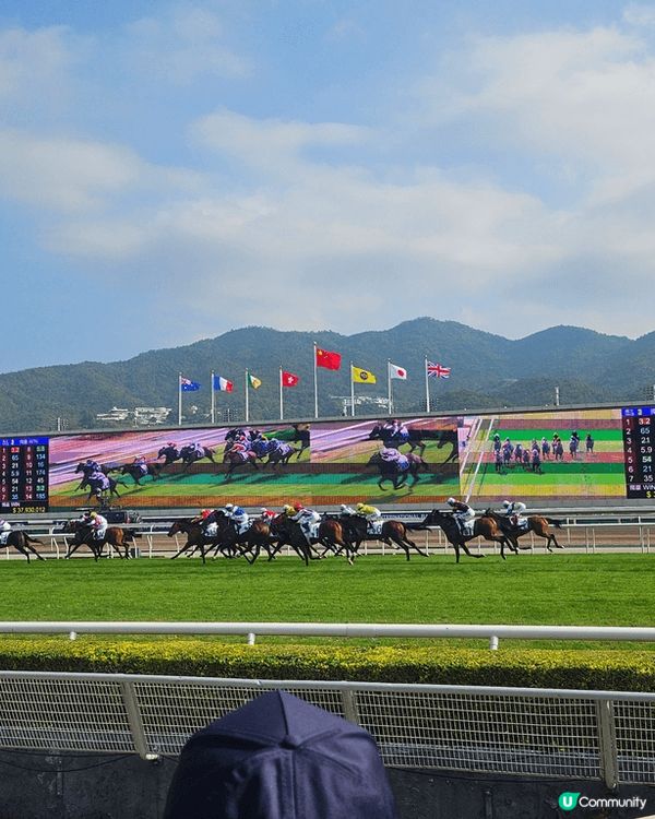 馬場有氣氛，尖沙咀睇燈飾，迪士尼睇雪景烟花