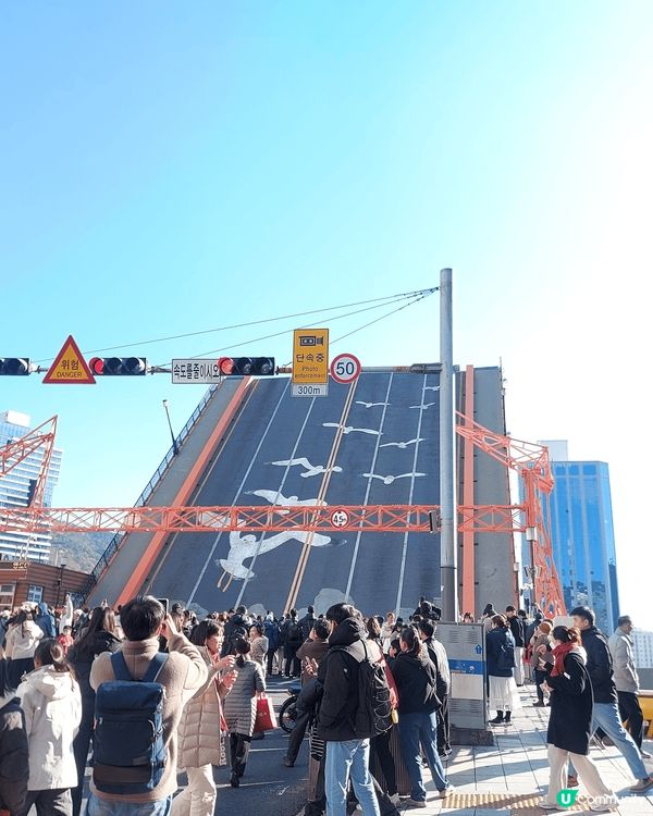 每個星期六下午2點，位於韓國釜山的影島大橋都會上演一幕開合環...