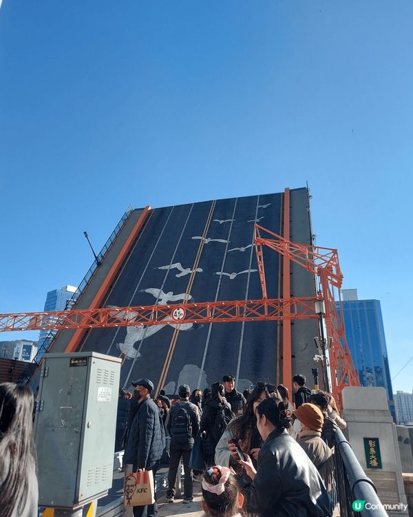 每個星期六下午2點，位於韓國釜山的影島大橋都會上演一幕開合環...