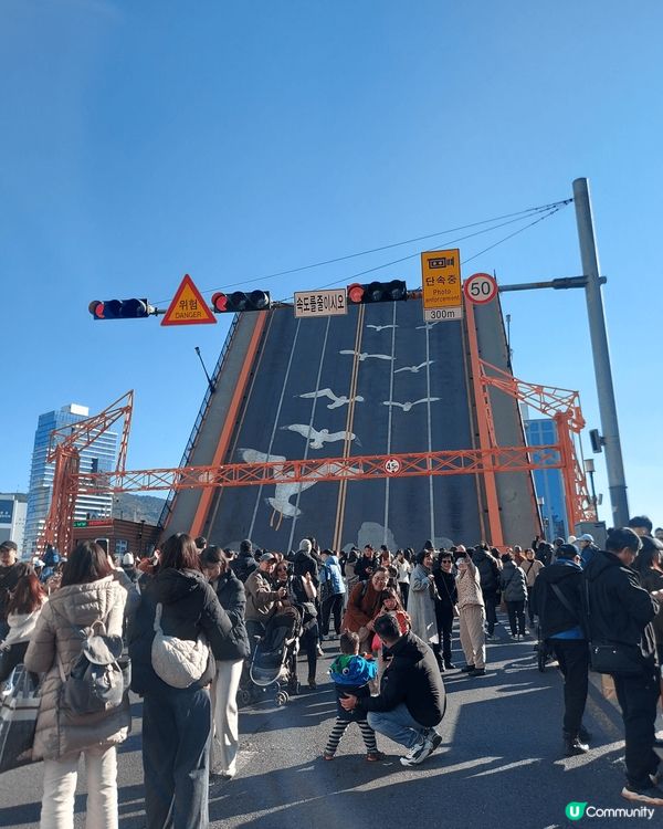每個星期六下午2點，位於韓國釜山的影島大橋都會上演一幕開合環...