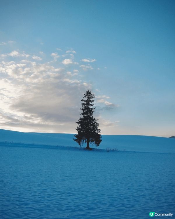 相信唔少朋友都會想過一個白色聖誕❄️☃️，我最近就去左北海道...