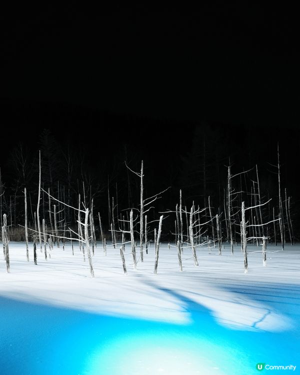 相信唔少朋友都會想過一個白色聖誕❄️☃️，我最近就去左北海道...