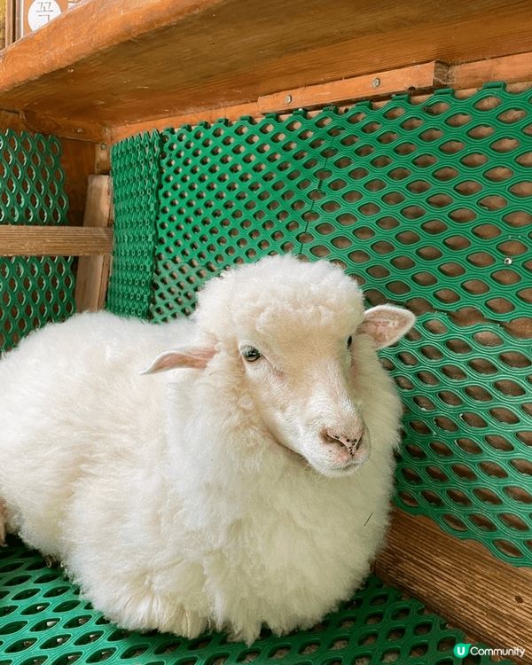 來自韓國首爾和釜山的打卡景點，首爾除了著韓服、買小眾品牌之外...