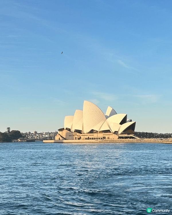這些照片是在 Sydney Darling Harbour ...