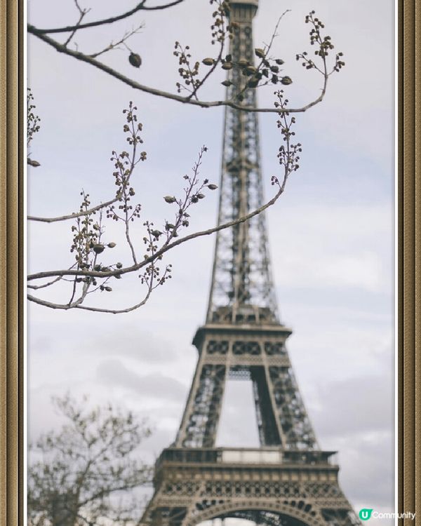 [澳門巴黎人酒店]外觀典雅亮麗之外，本人極推介其壯觀豪華自助...