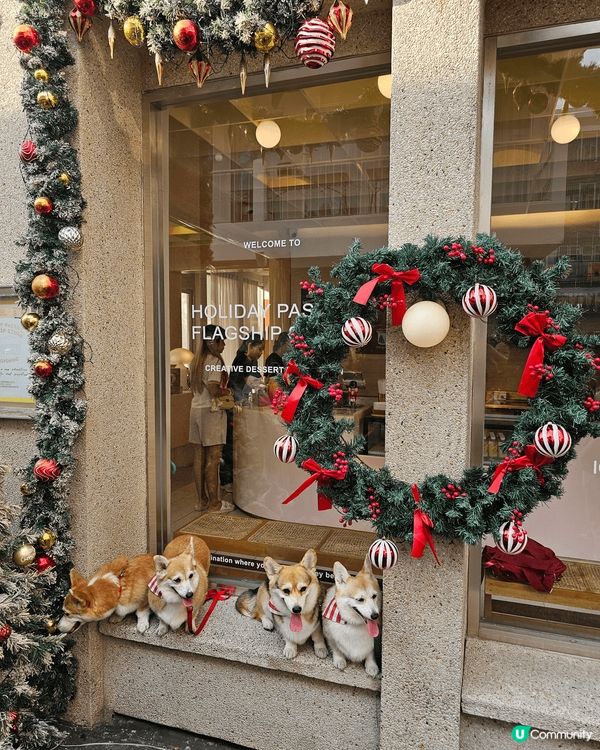 呢個係一間泰國哥?狗狗主題cafe，好多好可愛狗狗之餘?st...