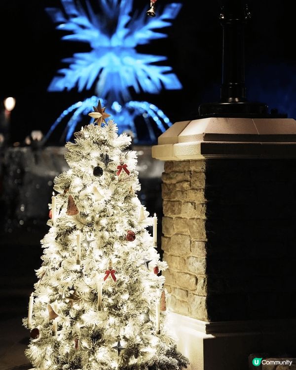 冬天一定要去迪士尼！