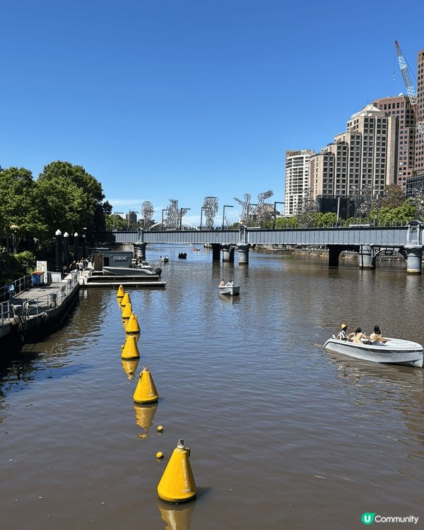 The reason why I take these ph...