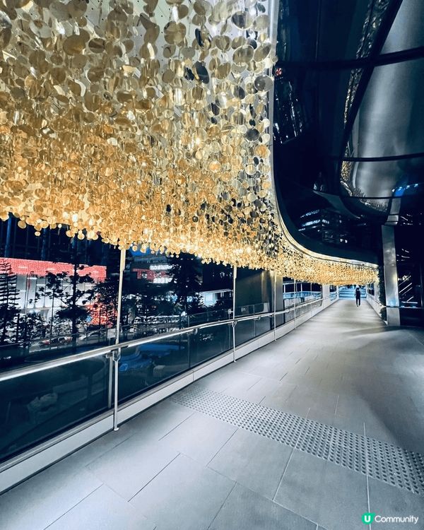 1.中環花園道打卡熱點-巨型聖誕樹加埋星海樓梯　