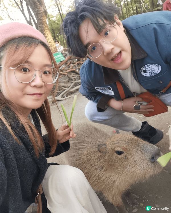 上海野生動物園好值得去，雖然都算貴，但係可以超近距離接觸好多...