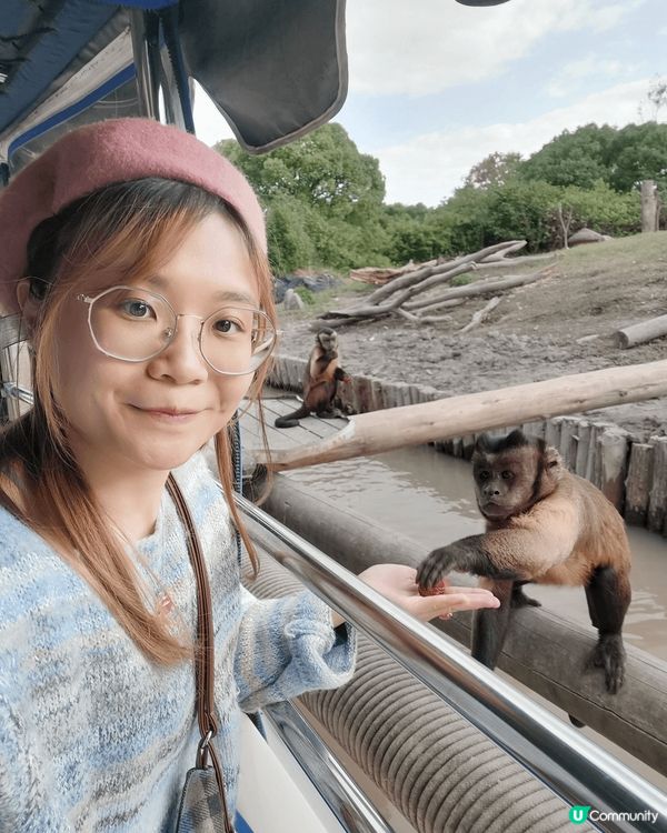 上海野生動物園好值得去，雖然都算貴，但係可以超近距離接觸好多...