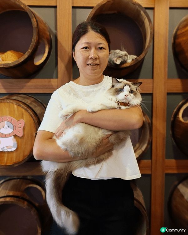 旺角貓Cafe的貓好靚好乖，可以吃美味的西餐又可以跟多個品種...