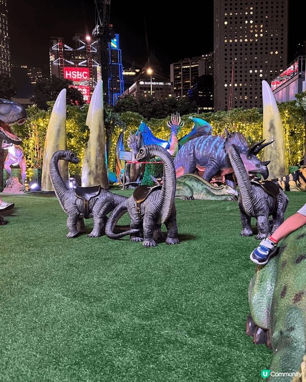 中環摩天輪，夜晚睇香港景好靚。由尖沙咀搭渡輪去中環再上摩天輪...