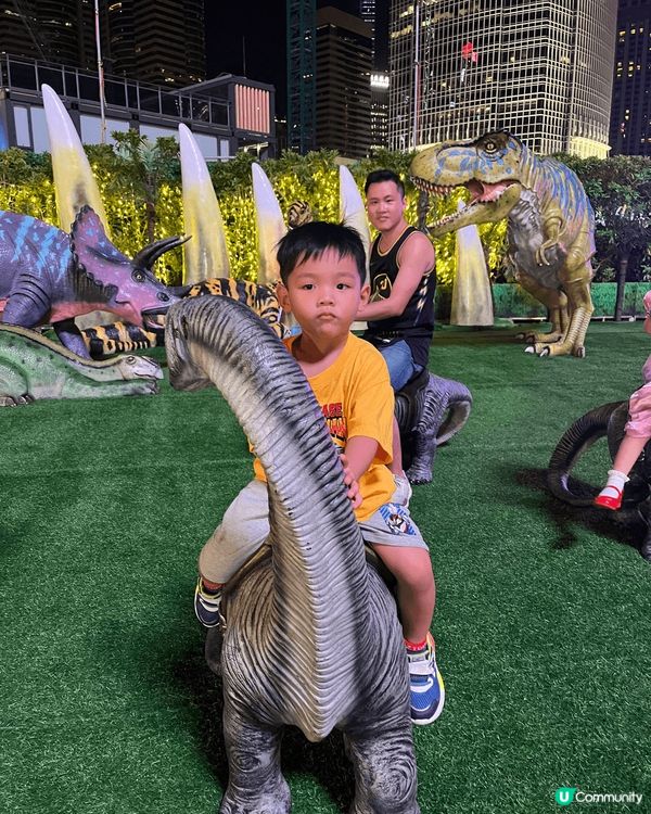 中環摩天輪，夜晚睇香港景好靚。由尖沙咀搭渡輪去中環再上摩天輪...