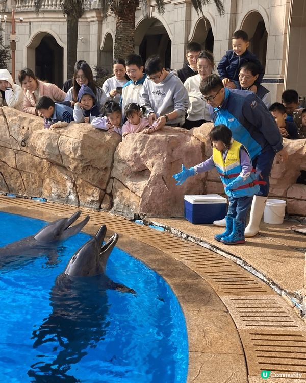 珠海的橫琴灣酒店和海洋王國，早上先到酒店的海豚池抽籤免費餵海...