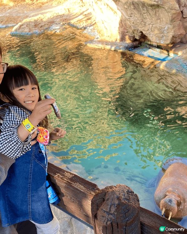 珠海的橫琴灣酒店和海洋王國，早上先到酒店的海豚池抽籤免費餵海...