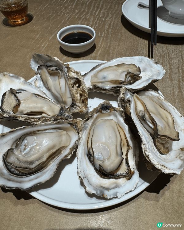 去?深圳灣海岸城觀蠔食海鮮，生蠔??、赤貝同蟶子皇都新鮮又美...