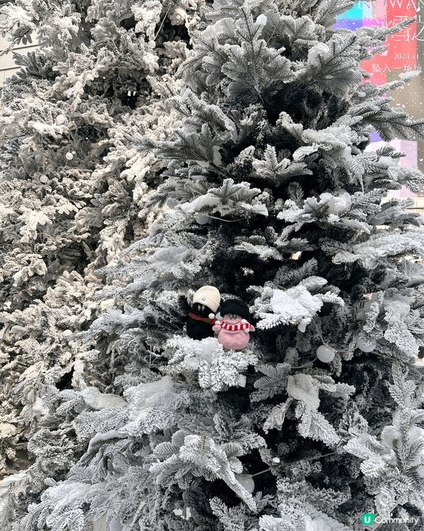 深圳終於落雪，知道有一個咁厲害?聖誕場景，無理由唔去影靚相