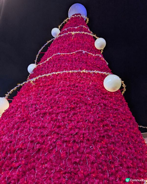 ?尖沙咀?海旁打卡，日出，朝早同夜晚既景色同埋?特色?打卡位...