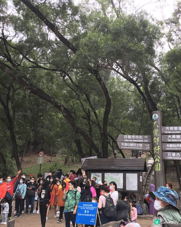 每年一度的元朗大棠紅葉。當天氣轉冷時，大欖郊野公園楓香林會出...