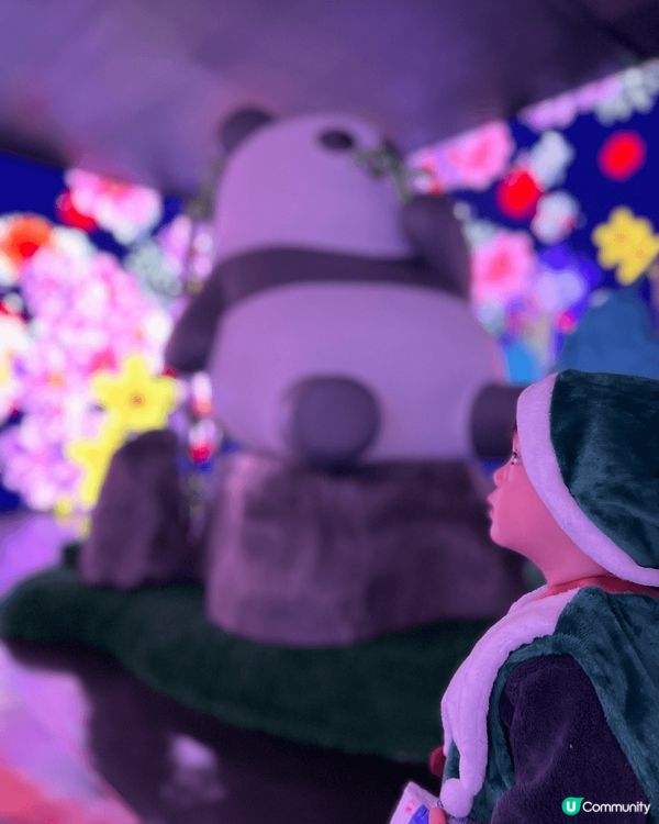 海洋公園熊貓返?啦！仲有安安可可加入！帶小朋友去簡直一流??...