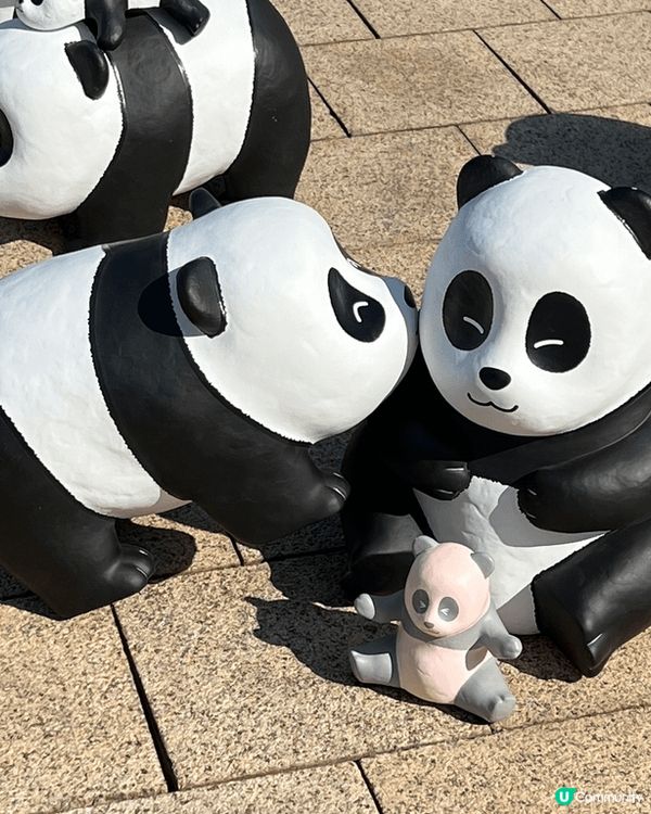 海洋公園熊貓返?啦！仲有安安可可加入！帶小朋友去簡直一流??...