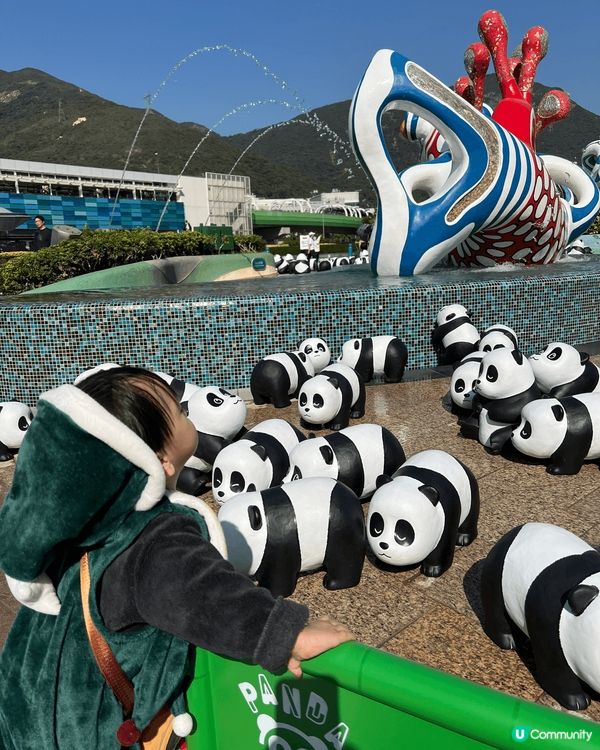 海洋公園熊貓返?啦！仲有安安可可加入！帶小朋友去簡直一流??...