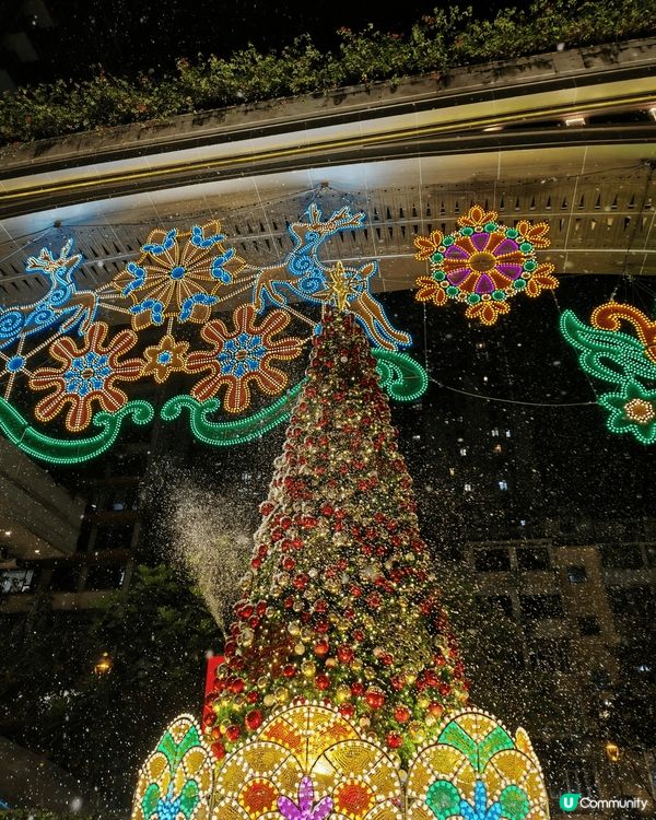 利東街好有聖誕氣氛，有個大聖誕樹，仲有飄雪。香港都會落雪啦！...