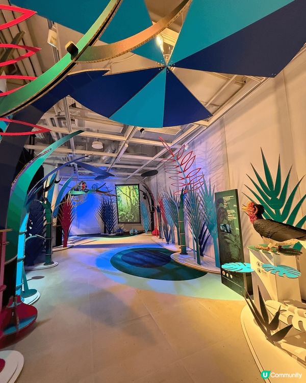 機場，打卡勝地，極有設計聖誕樹！