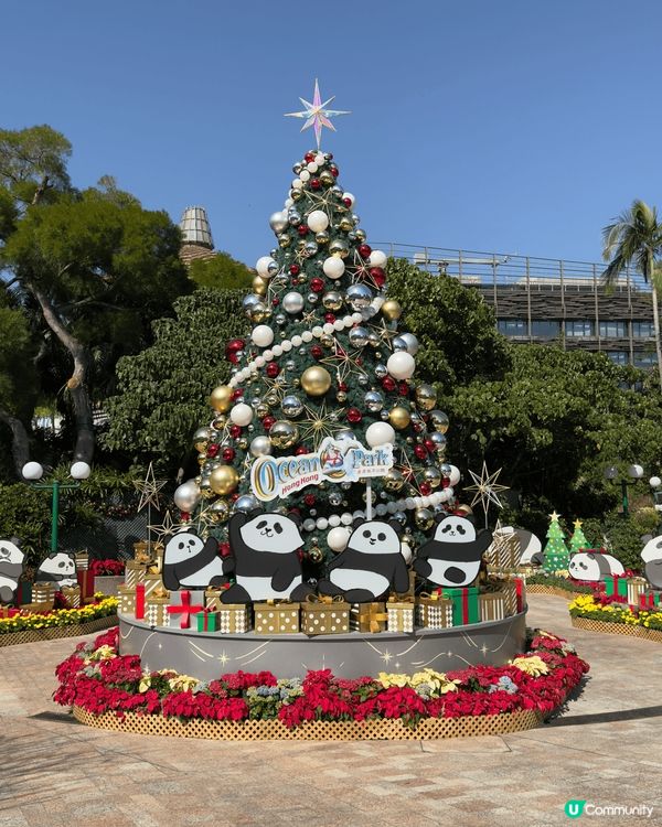 聖誕節的海洋公園到處充滿聖誕裝飾，令人沉浸於聖誕節的溫暖氣氛...