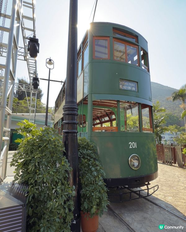 聖誕節的海洋公園到處充滿聖誕裝飾，令人沉浸於聖誕節的溫暖氣氛...
