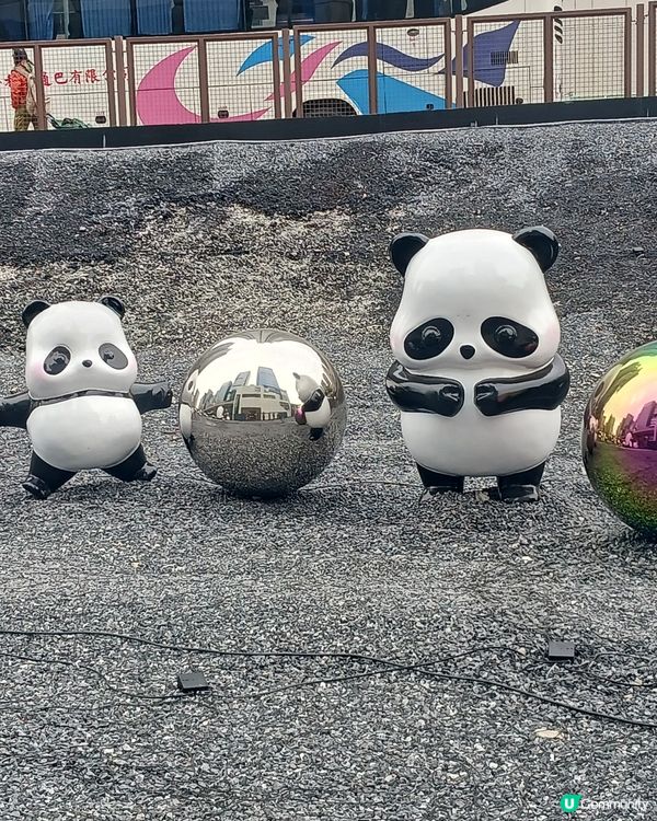 好可愛的熊貓佈置喔~