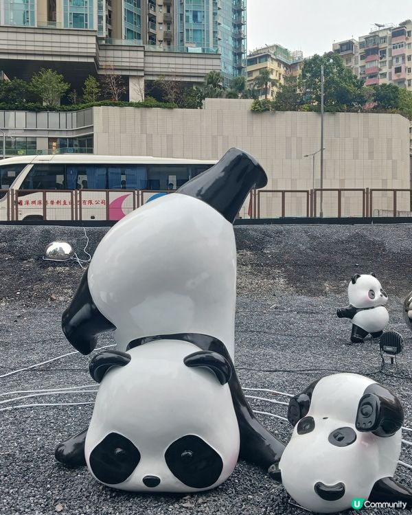 好可愛的熊貓佈置喔~