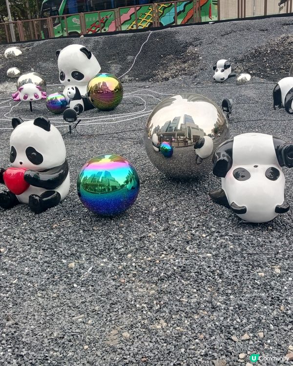 好可愛的熊貓佈置喔~