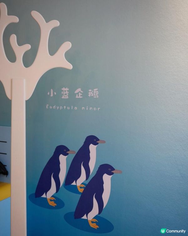 ｛珠海長隆親子遊｝（一）住宿篇 🎄🐧企鵝酒店