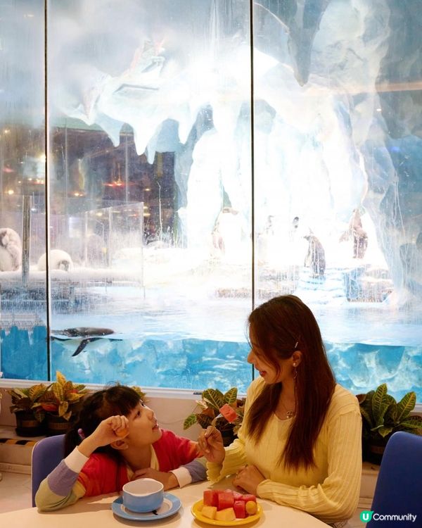 ｛珠海長隆親子遊｝（一）住宿篇 🎄🐧企鵝酒店