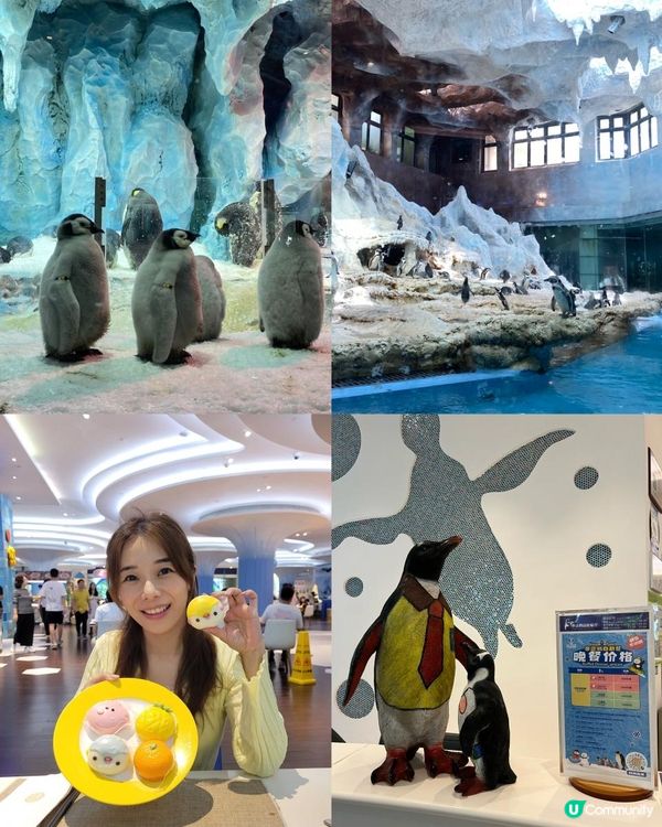 ｛珠海長隆親子遊｝（一）住宿篇 🎄🐧企鵝酒店