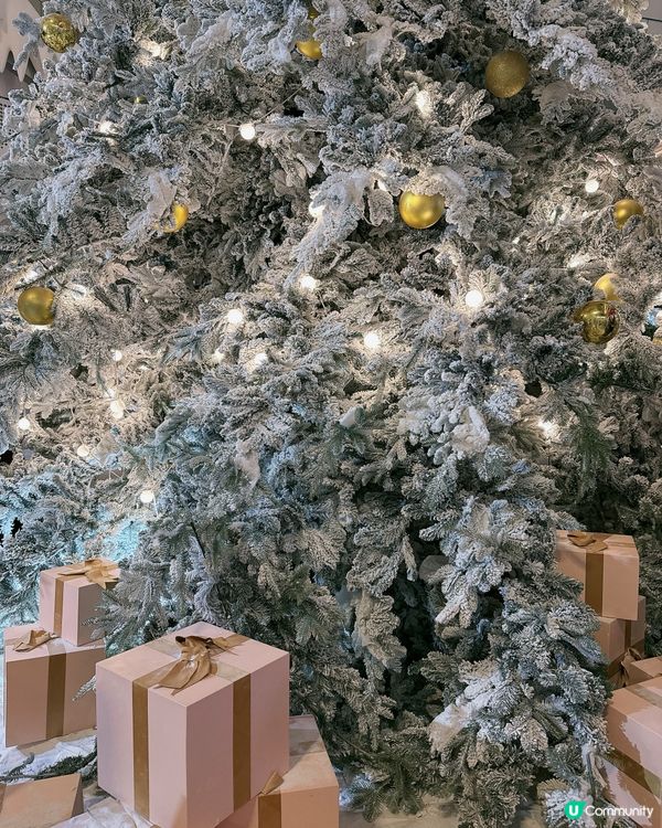 聖誕打卡｜深圳萬象前海-冰雪之境