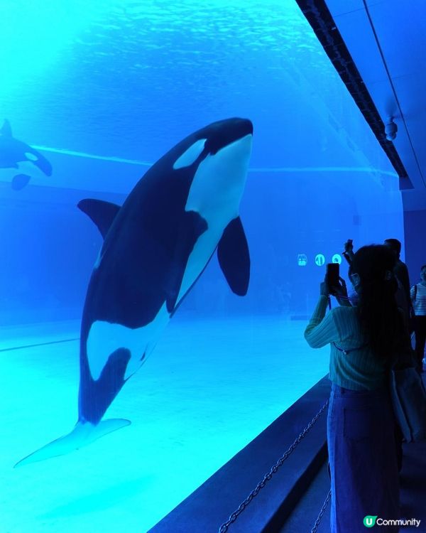 ｛珠海長隆親子遊｝🛸宇宙飛船篇