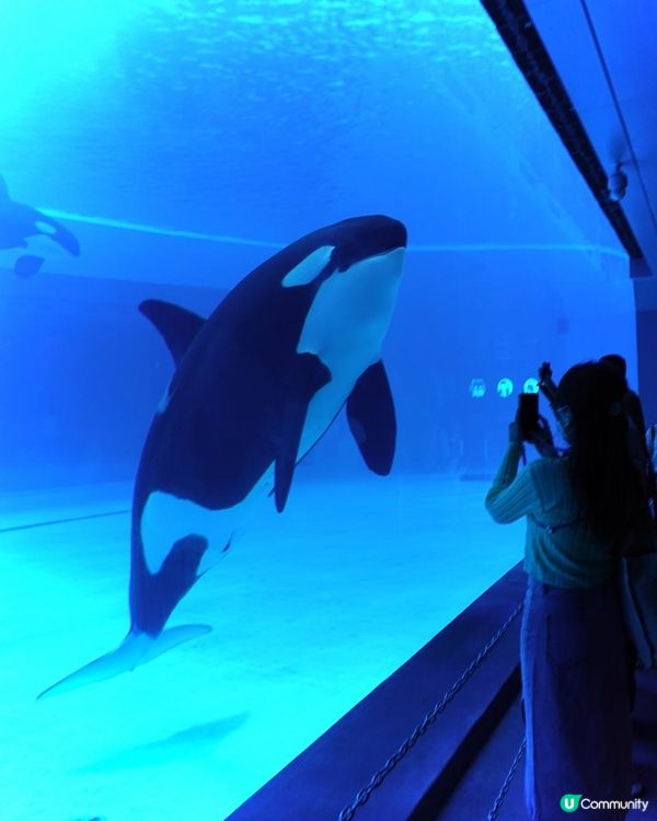 ｛珠海長隆親子遊｝🛸宇宙飛船篇