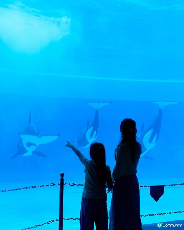 ｛珠海長隆親子遊｝🛸宇宙飛船篇