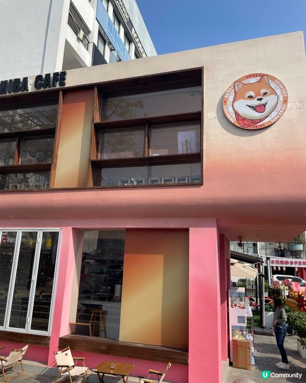 深圳南山區柴犬Cafe