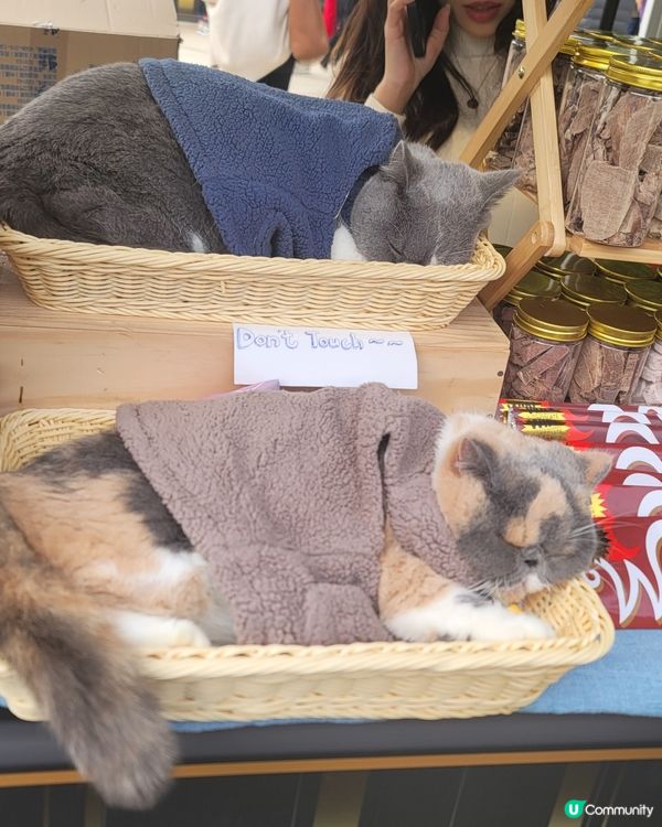 大概有10年冇去的聖誕赤柱市集