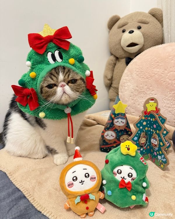 🎅🏻𝕸𝖊𝖗𝖗𝖞 𝕮𝖍𝖗𝖎𝖘𝖙𝖒𝖆𝖘 𝖙𝖔 𝖞𝖔𝖚 𝖆𝖑𝖑!!...